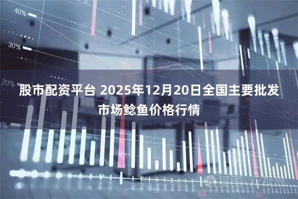 股市配资平台 2025年12月20日全国主要批发市场鲶鱼价格行情